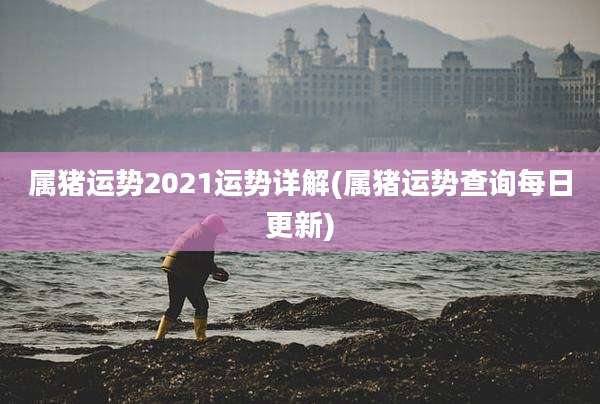 属猪运势2021运势详解(属猪运势查询每日更新)