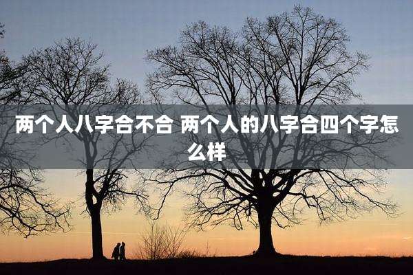 两个人八字合不合 两个人的八字合四个字怎么样