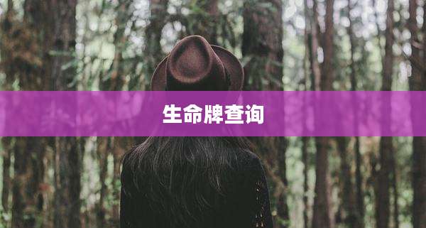生命牌查询