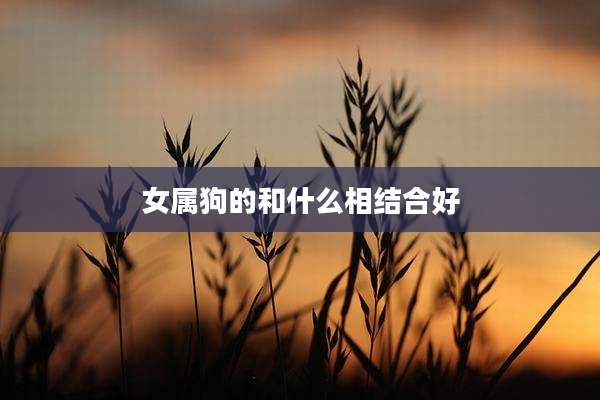女属狗的和什么相结合好