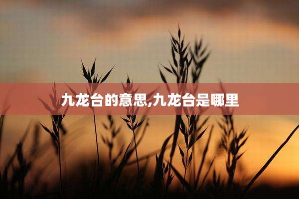 九龙台的意思,九龙台是哪里