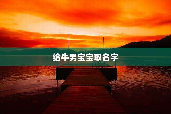给牛男宝宝取名字