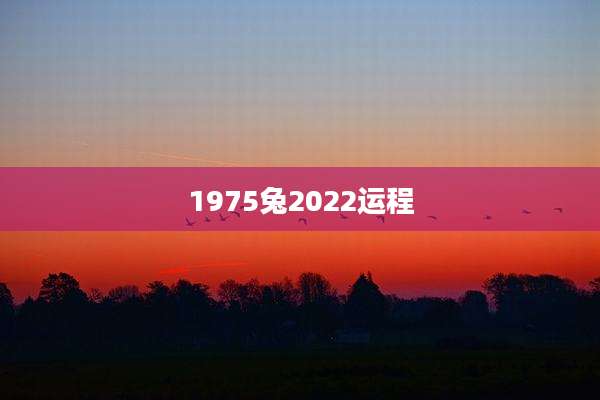 1975兔2022运程
