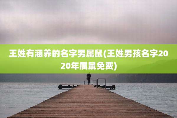王姓有涵养的名字男属鼠(王姓男孩名字2020年属鼠免费)