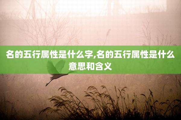 名的五行属性是什么字,名的五行属性是什么意思和含义