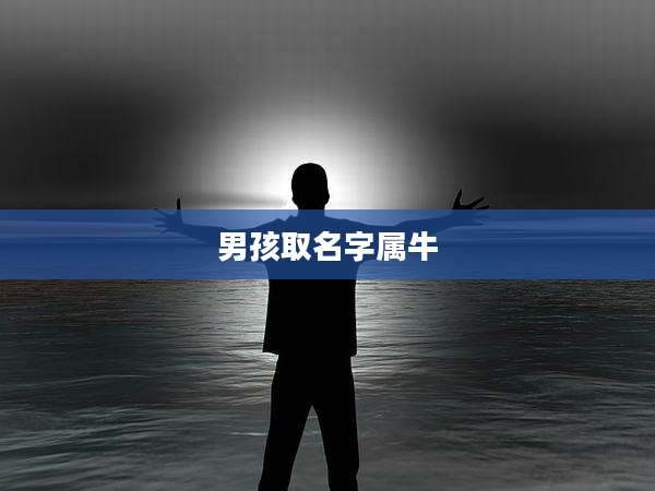 男孩取名字属牛