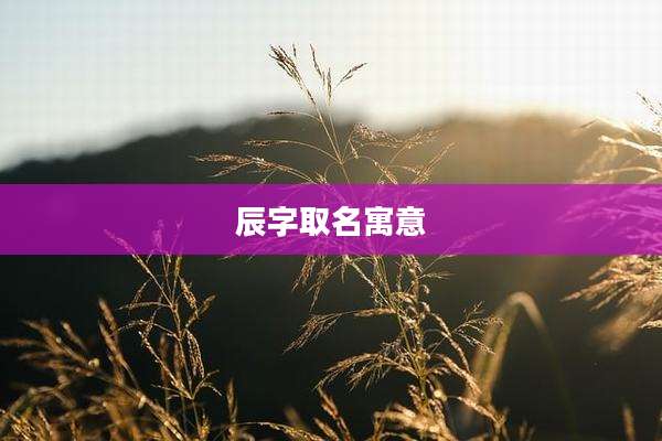 辰字取名寓意
