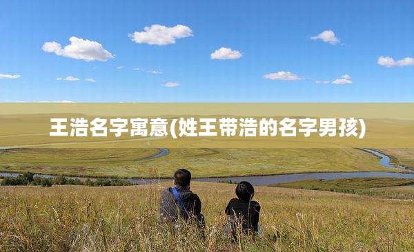 王浩名字寓意(姓王带浩的名字男孩)