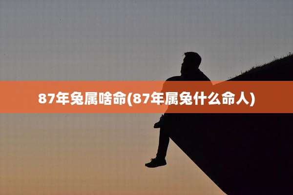 87年兔属啥命(87年属兔什么命人)