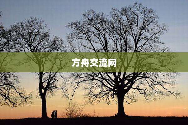 方舟交流网