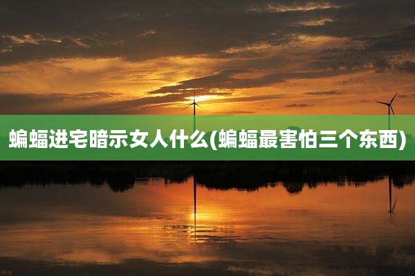 蝙蝠进宅暗示女人什么(蝙蝠最害怕三个东西)
