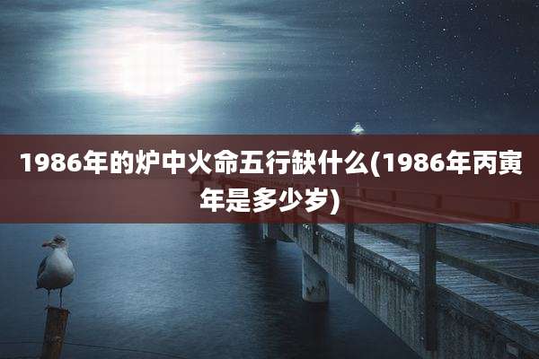 1986年的炉中火命五行缺什么(1986年丙寅年是多少岁)