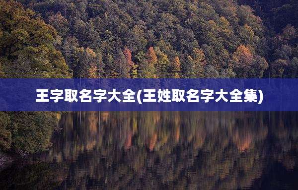 王字取名字大全(王姓取名字大全集)