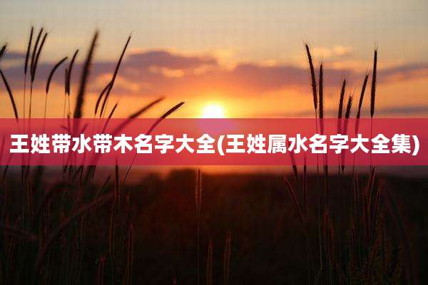王姓带水带木名字大全(王姓属水名字大全集)