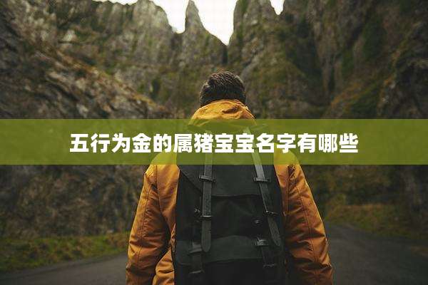 五行为金的属猪宝宝名字有哪些