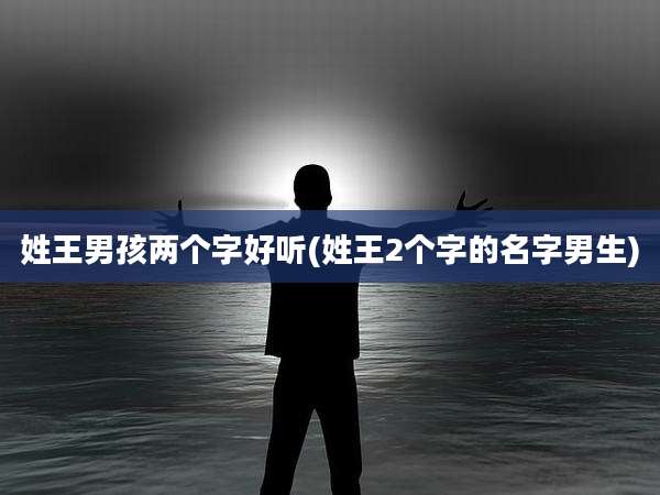 姓王男孩两个字好听(姓王2个字的名字男生)