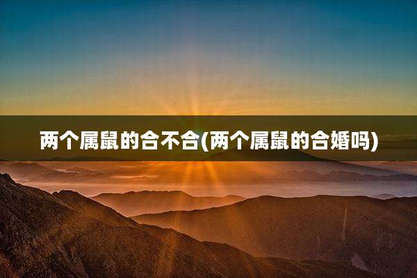 两个属鼠的合不合(两个属鼠的合婚吗)