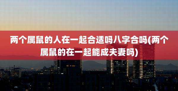 两个属鼠的人在一起合适吗八字合吗(两个属鼠的在一起能成夫妻吗)