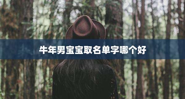 牛年男宝宝取名单字哪个好