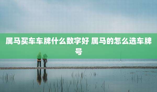 属马买车车牌什么数字好 属马的怎么选车牌号