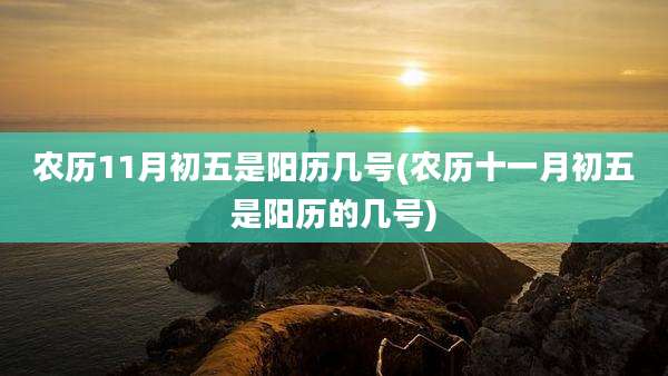 农历11月初五是阳历几号(农历十一月初五是阳历的几号)