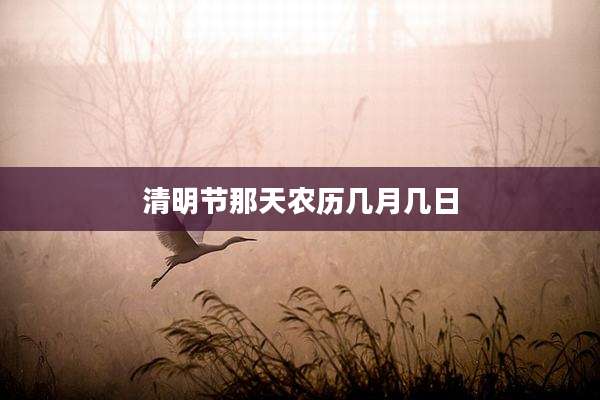 清明节那天农历几月几日