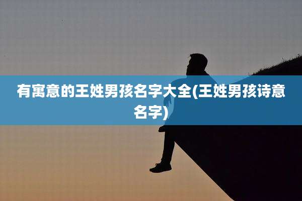 有寓意的王姓男孩名字大全(王姓男孩诗意名字)