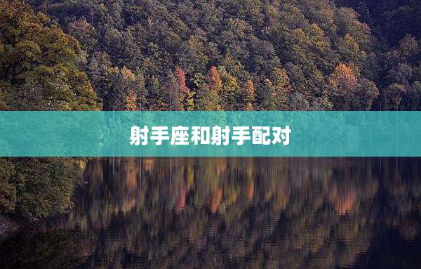 射手座和射手配对