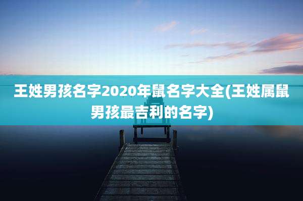 王姓男孩名字2020年鼠名字大全(王姓属鼠男孩最吉利的名字)