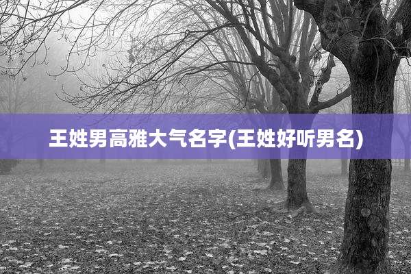 王姓男高雅大气名字(王姓好听男名)