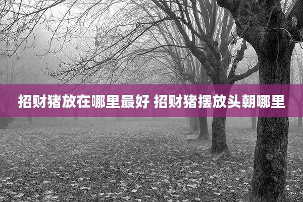 招财猪放在哪里最好 招财猪摆放头朝哪里