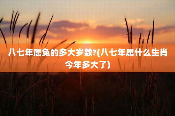 八七年属兔的多大岁数?(八七年属什么生肖今年多大了)