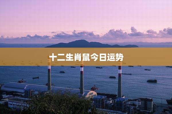 十二生肖鼠今日运势