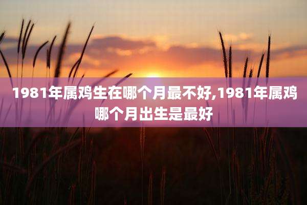 1981年属鸡生在哪个月最不好,1981年属鸡哪个月出生是最好
