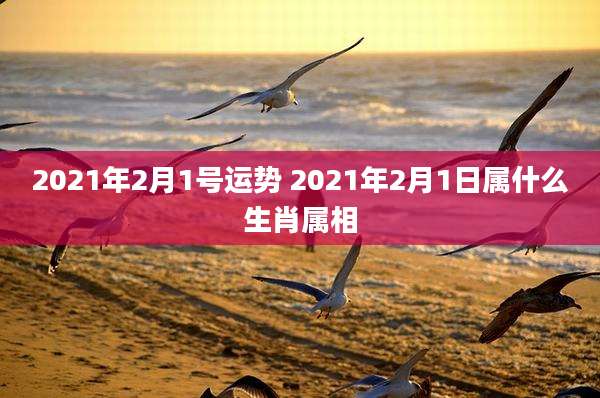 2021年2月1号运势 2021年2月1日属什么生肖属相