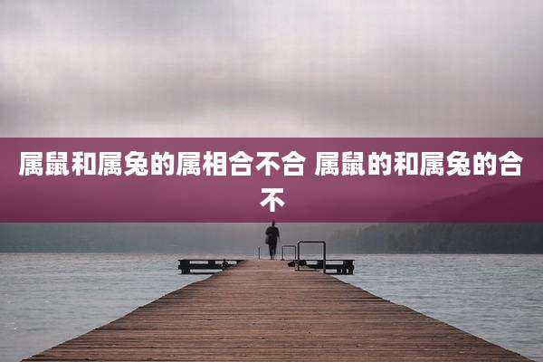 属鼠和属兔的属相合不合 属鼠的和属兔的合不