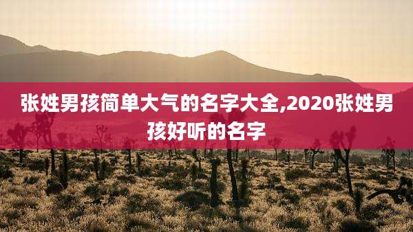 张姓男孩简单大气的名字大全,2020张姓男孩好听的名字