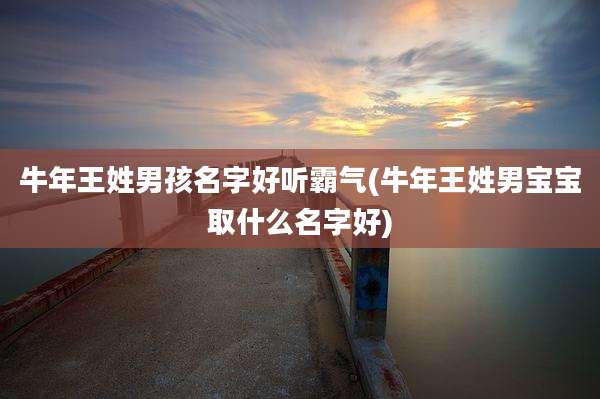 牛年王姓男孩名字好听霸气(牛年王姓男宝宝取什么名字好)