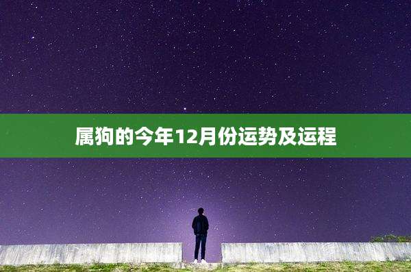 属狗的今年12月份运势及运程