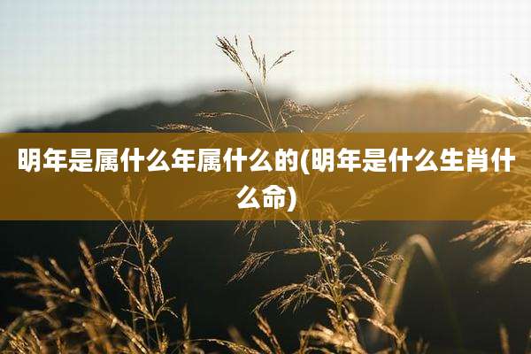 明年是属什么年属什么的(明年是什么生肖什么命)