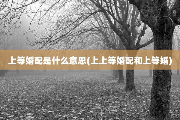 上等婚配是什么意思(上上等婚配和上等婚)