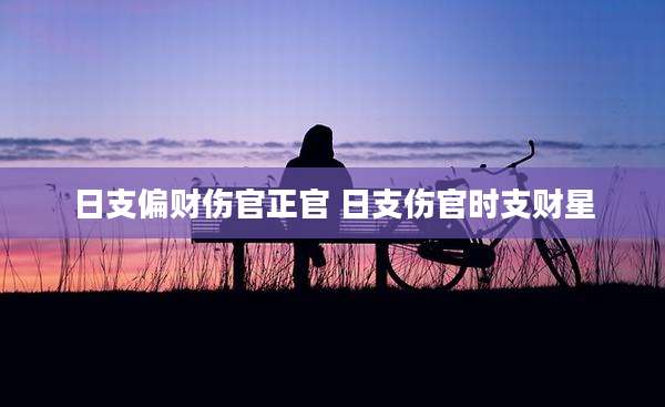 日支偏财伤官正官 日支伤官时支财星