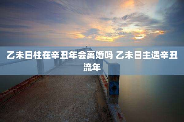 乙未日柱在辛丑年会离婚吗 乙未日主遇辛丑流年