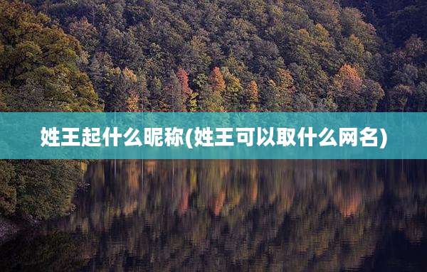 姓王起什么昵称(姓王可以取什么网名)