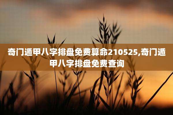 奇门遁甲八字排盘免费算命210525,奇门遁甲八字排盘免费查询