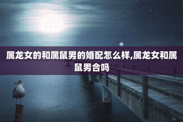 属龙女的和属鼠男的婚配怎么样,属龙女和属鼠男合吗