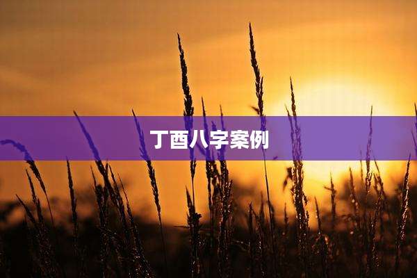 丁酉八字案例