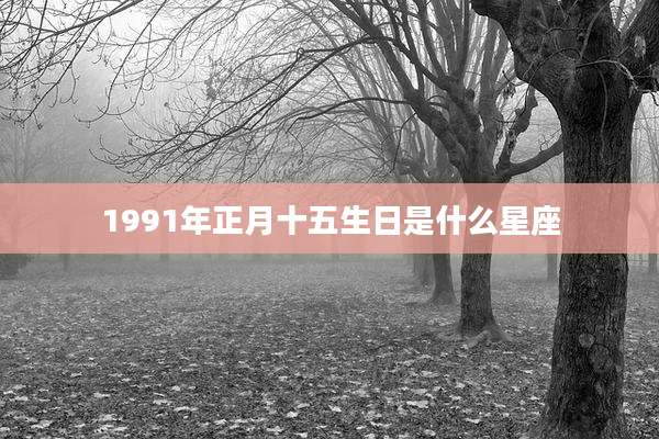 1991年正月十五生日是什么星座