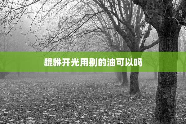 貔貅开光用别的油可以吗