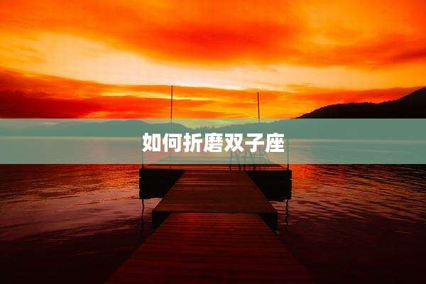 如何折磨双子座